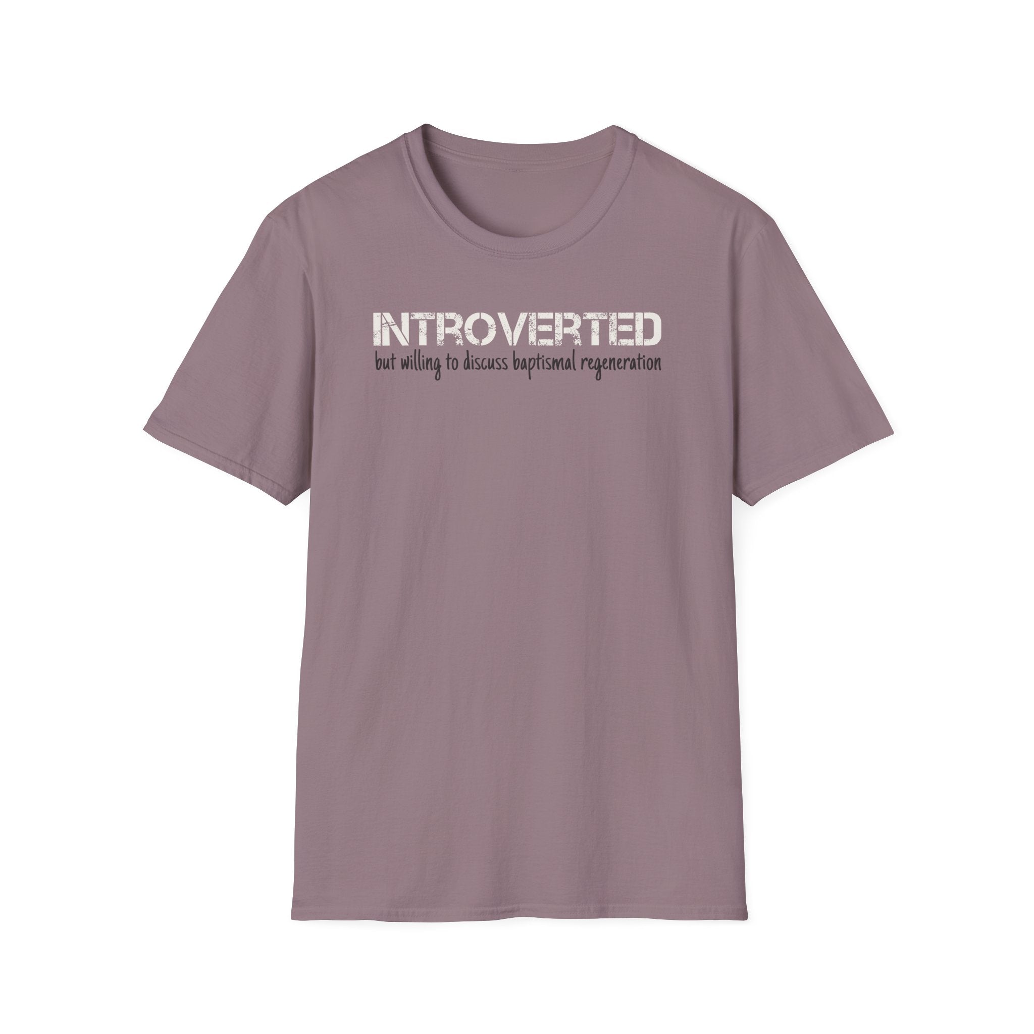 Introverted But Willing to Discuss Baptismal Regeneration Tee