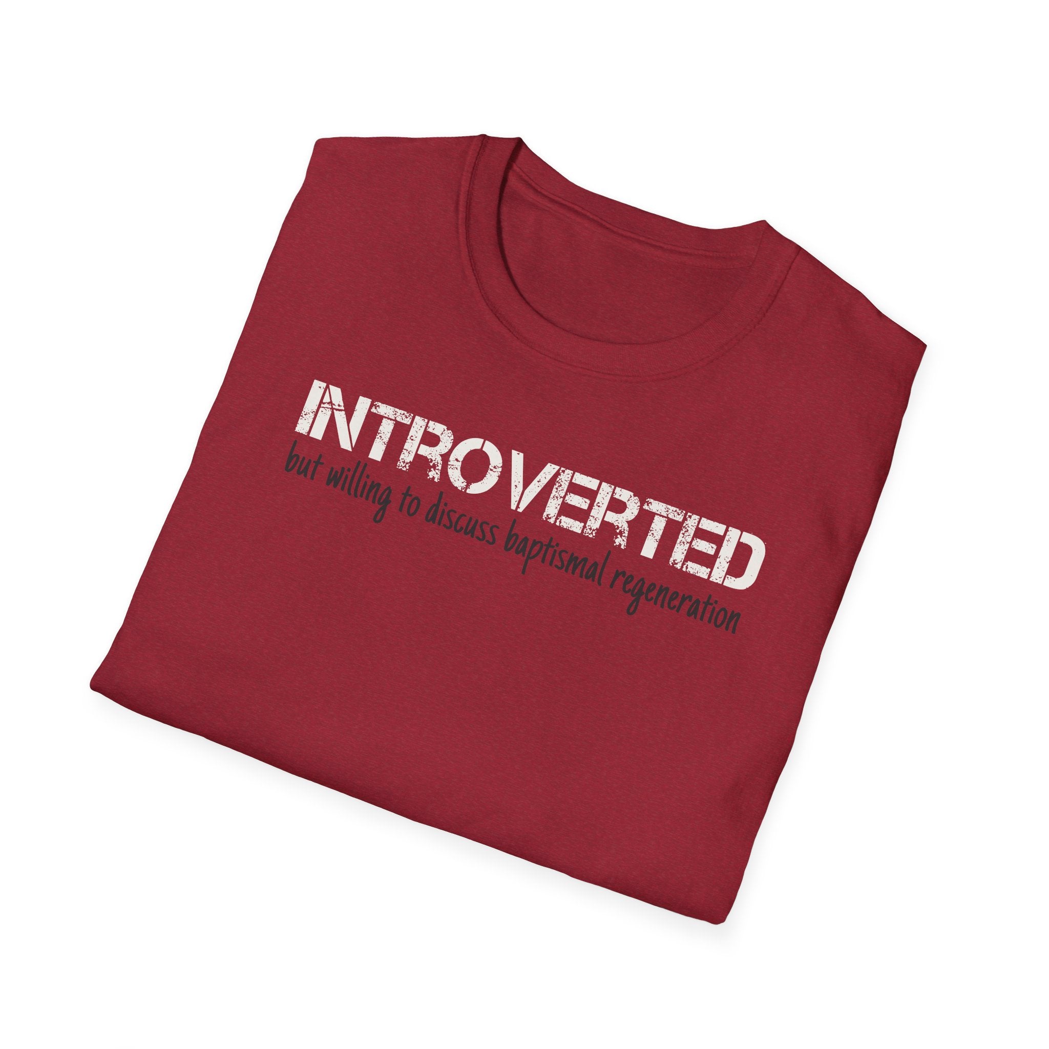 Introverted But Willing to Discuss Baptismal Regeneration Tee
