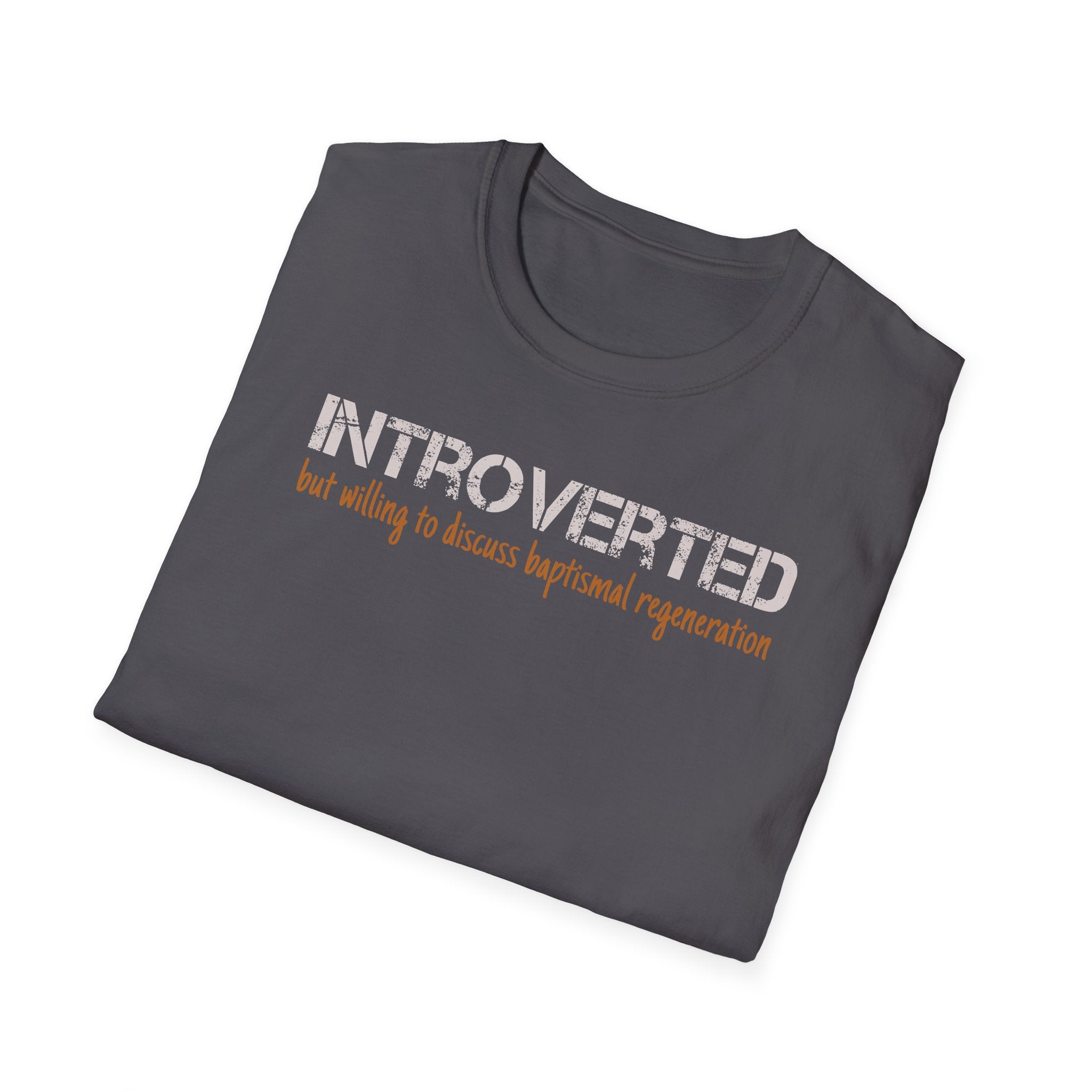 Introverted But Willing to Discuss Baptismal Regeneration Tee
