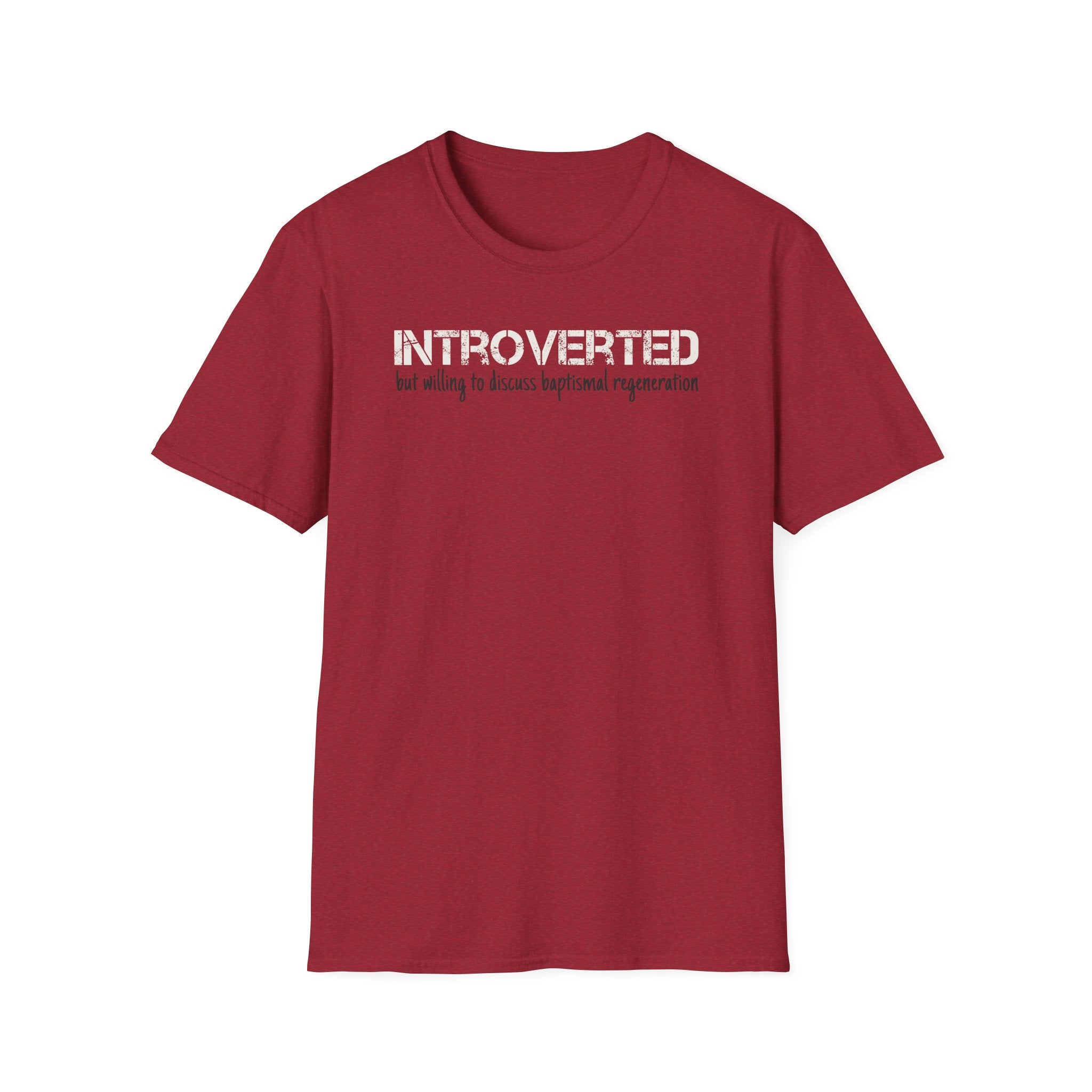 Introverted But Willing to Discuss Baptismal Regeneration Tee