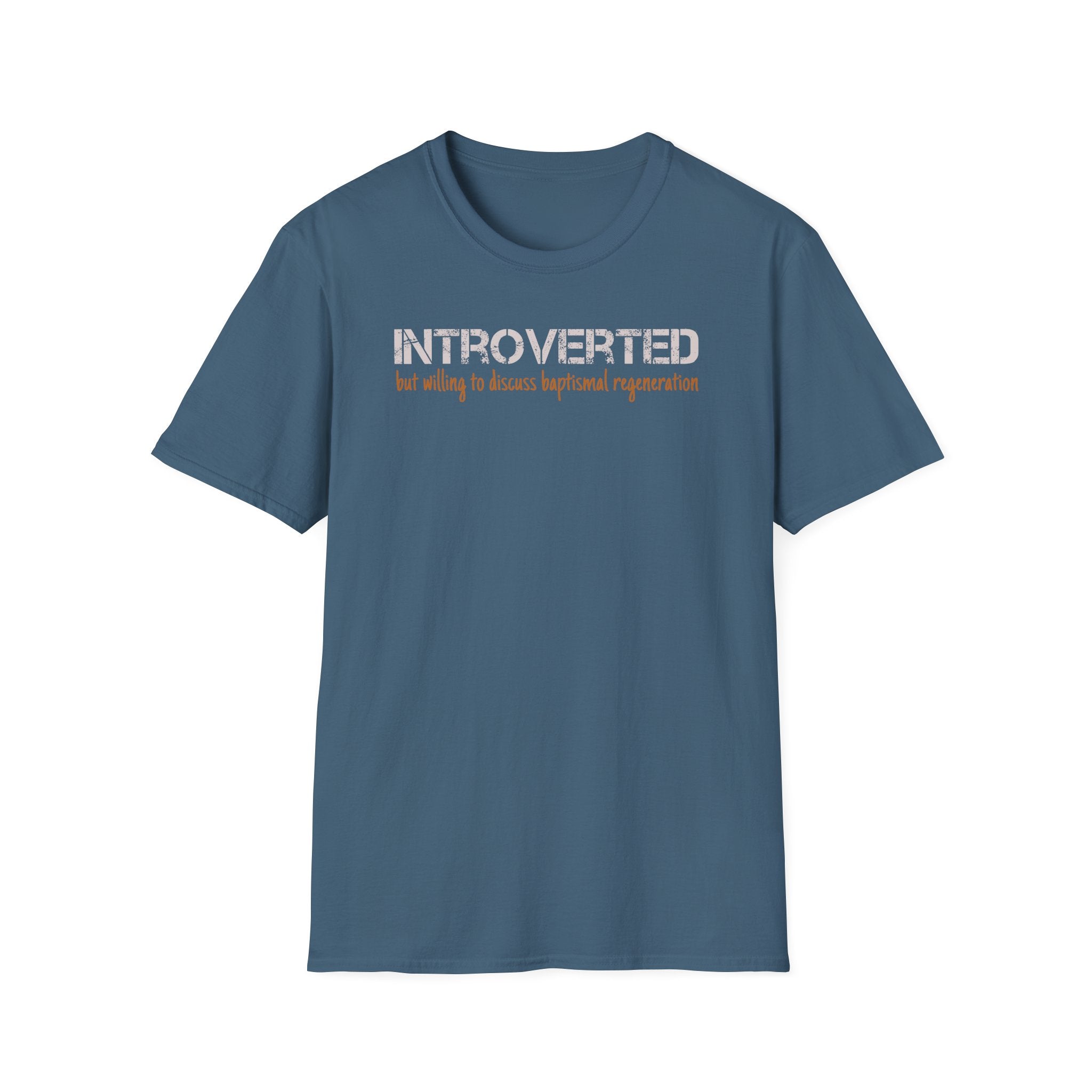 Introverted But Willing to Discuss Baptismal Regeneration Tee