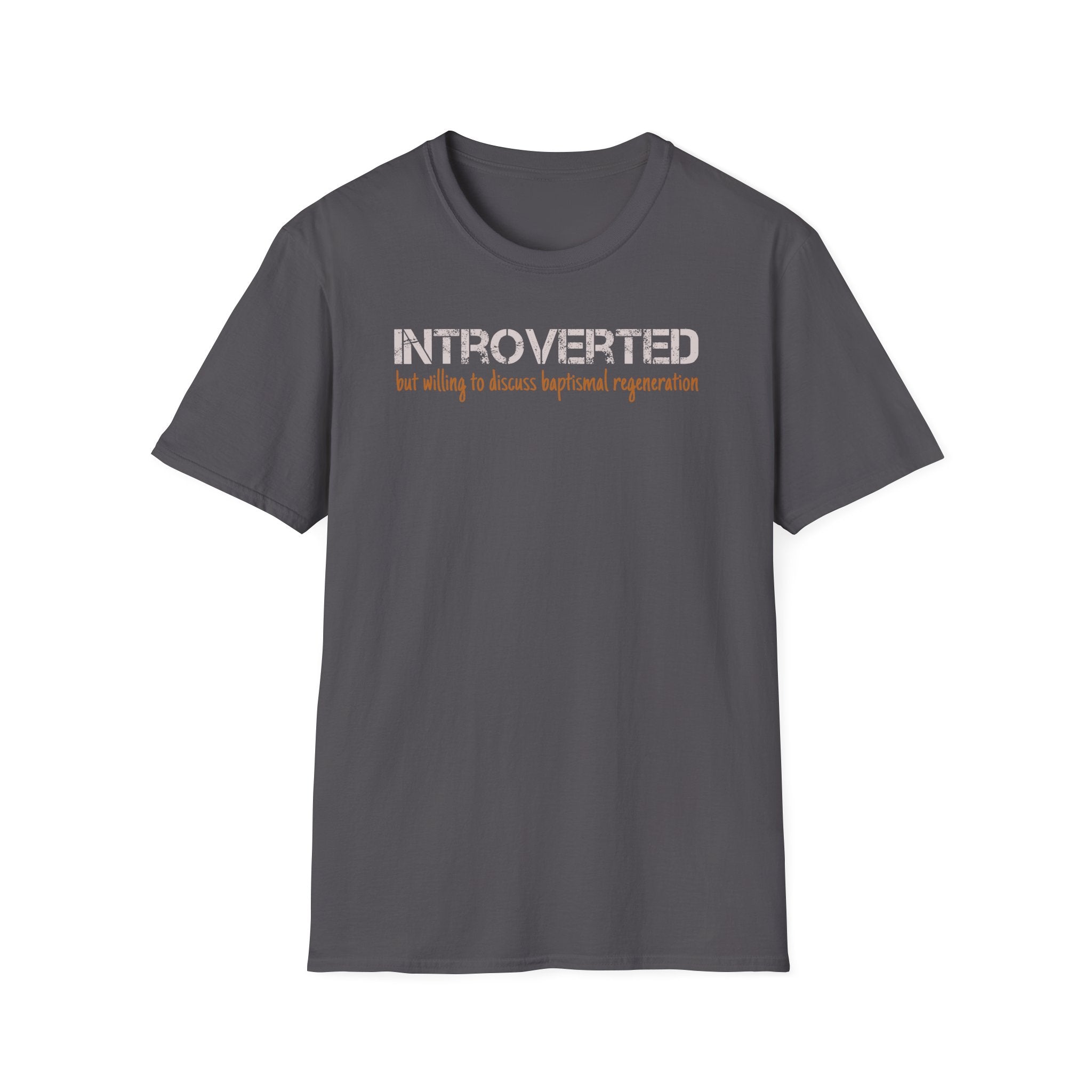 Introverted But Willing to Discuss Baptismal Regeneration Tee