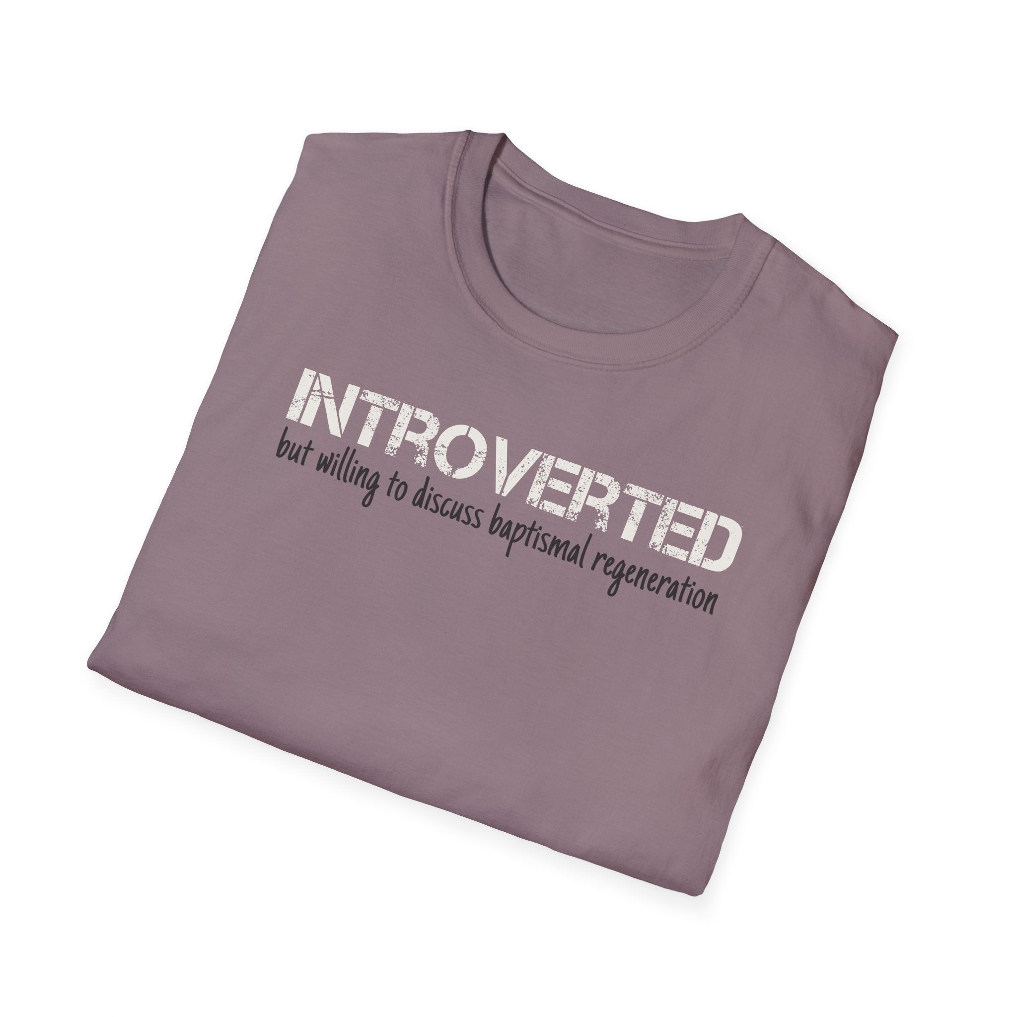 Introverted But Willing to Discuss Baptismal Regeneration Tee