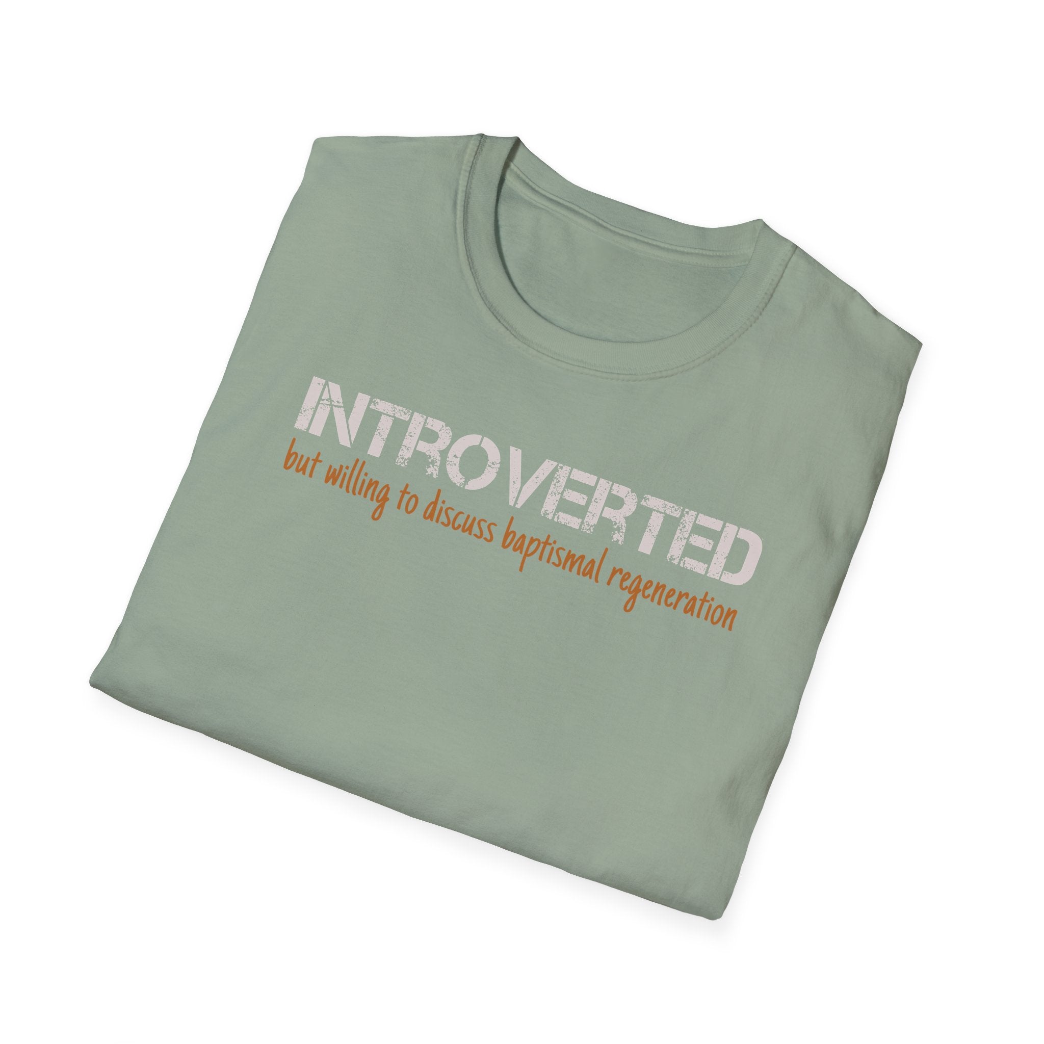 Introverted But Willing to Discuss Baptismal Regeneration Tee